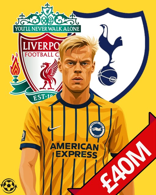 Liverpool and Tottenham have both been tracking Brighton centre-back Jan Paul van Hecke, with scouts watching closely ahead of a possible move.